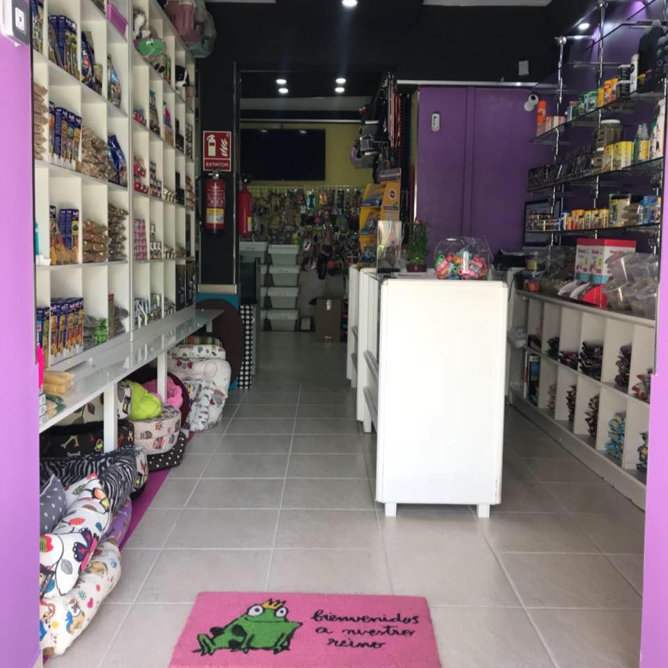 Accesorios: Servicios de Mascotas Dreams Accesorios: Servicios de Mascotas Dreams