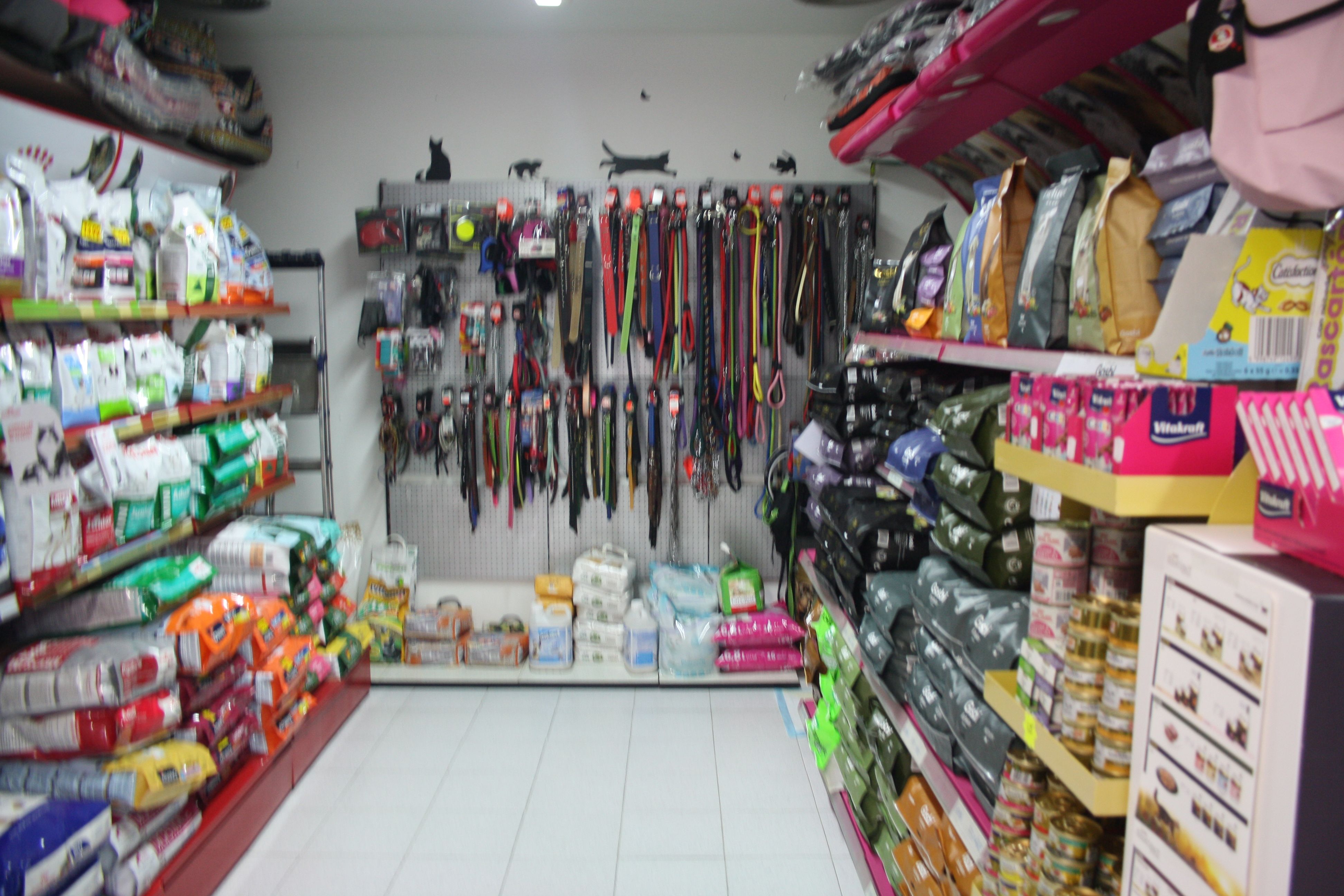 Accesorios y complementos: Servicios de Dog Show - Alella Accesorios y complementos: Servicios de Dog Show - Alella