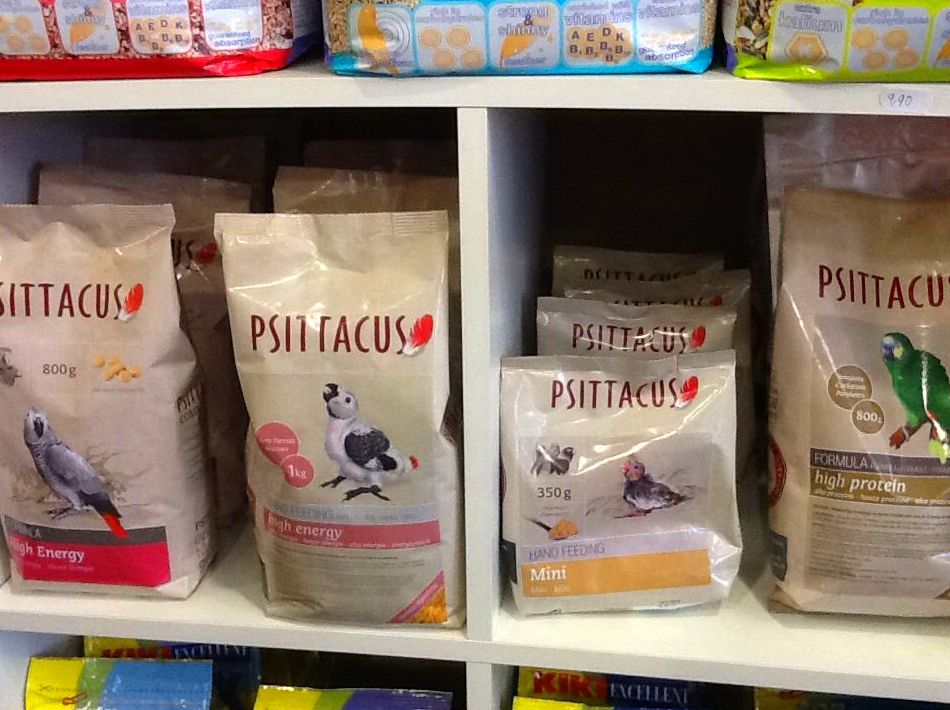 Psittacus: Productos y servicios de El Gato Persa Psittacus: Productos y servicios de El Gato Persa
