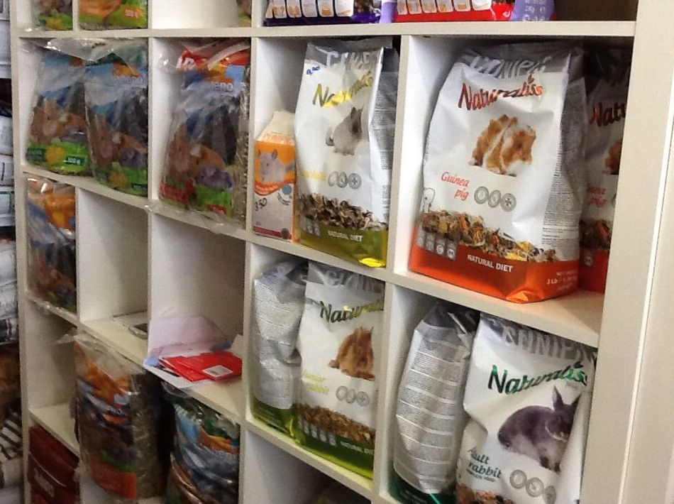 Cunipic: Productos y servicios de El Gato Persa Cunipic: Productos y servicios de El Gato Persa