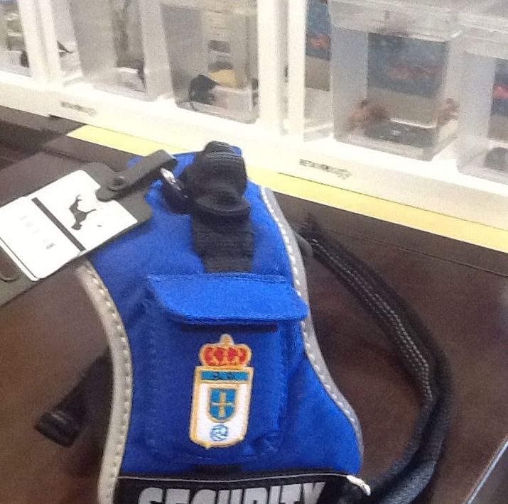 Arnés técnico: Productos y servicios de El Gato Persa Arnés técnico: Productos y servicios de El Gato Persa