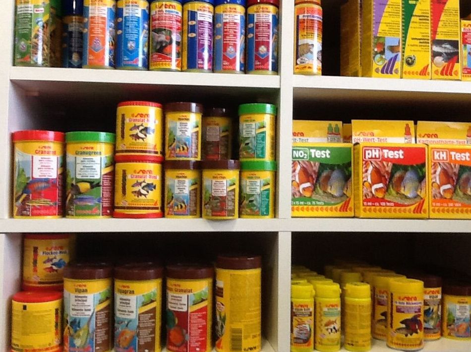 Alimento peces ornamentales, agua fría y estanque: Productos y servicios de El Gato Persa Alimento peces ornamentales, agua fría y estanque: Productos y servicios de El Gato Persa