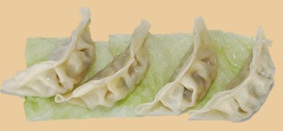 Gyoza Gyoza