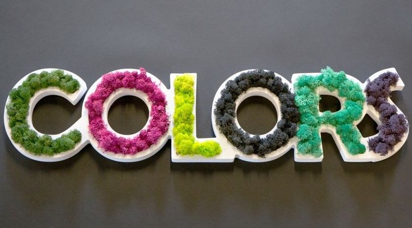 Logo Vegetal en color Logo Vegetal en color