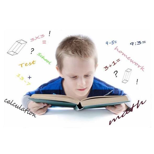 Psicología escolar: Servicios de Institut de Diagnòstic Psicològic Psicología escolar: Servicios de Institut de Diagnòstic Psicològic