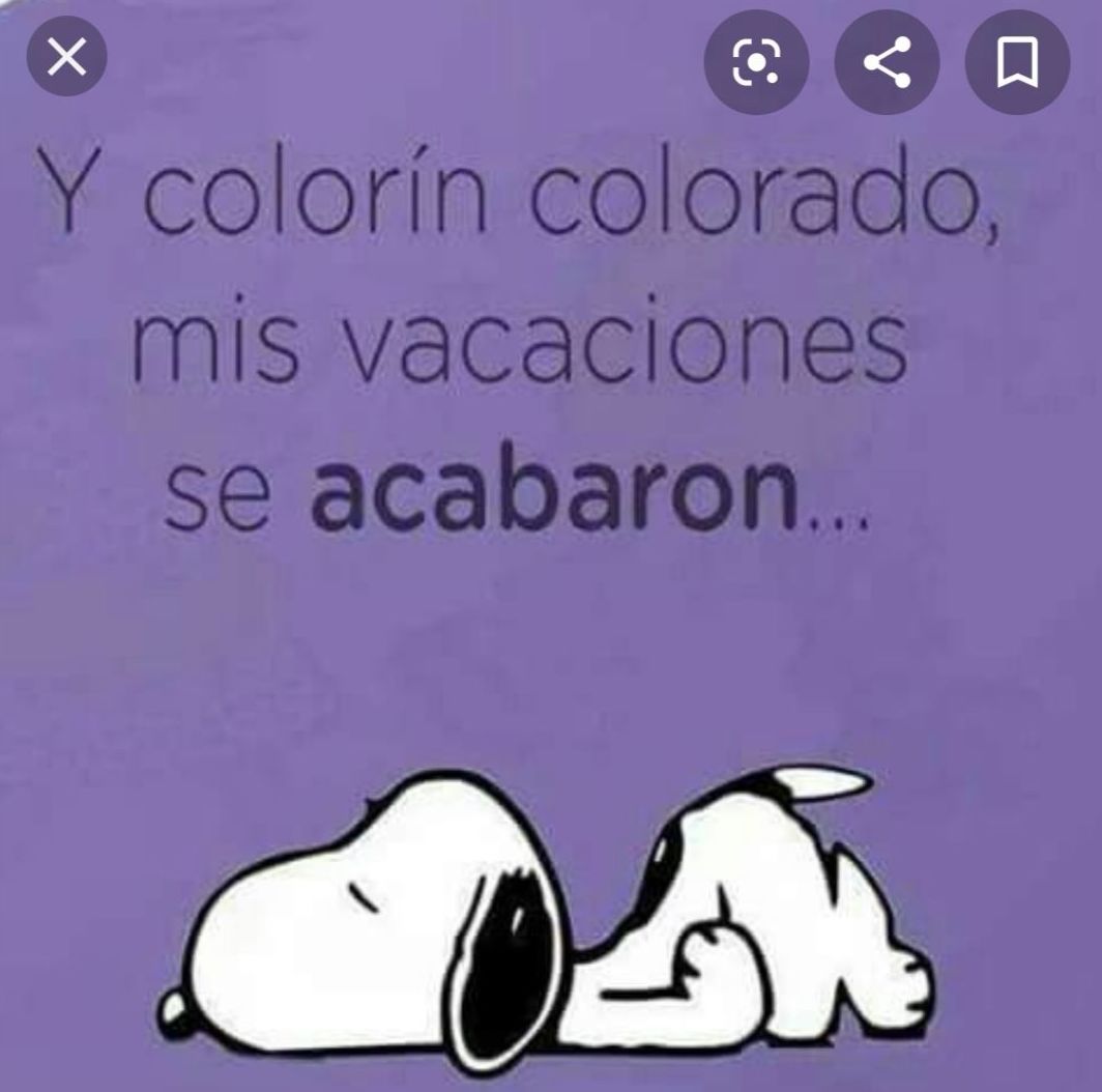 fin-de-las-vacaciones