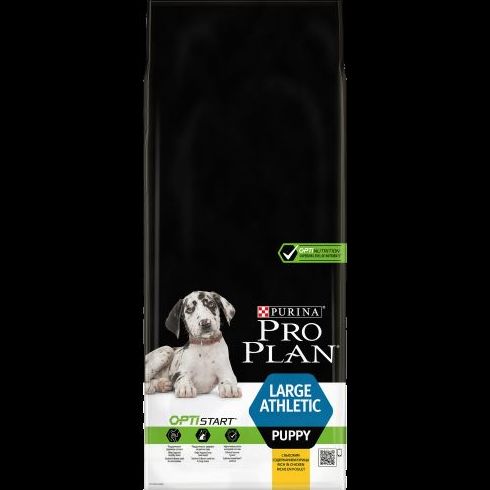 Alimentación perros y gatos: Productos y Servicios de Clínica Veterinaria Manises Alimentación perros y gatos: Productos y Servicios de Clínica Veterinaria Manises