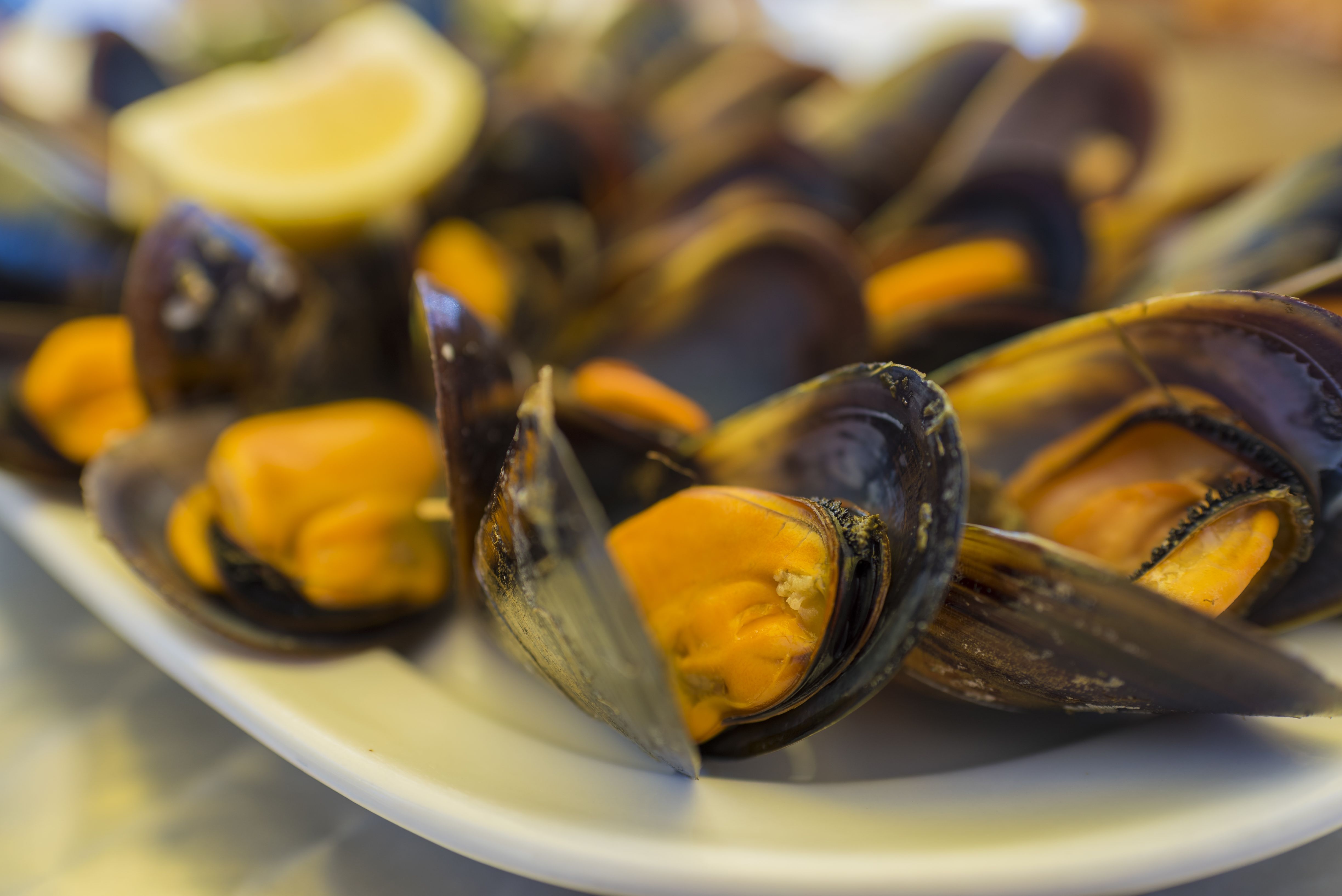 Mariscos: Especialidades de Aquí, Galicia Mariscos: Especialidades de Aquí, Galicia