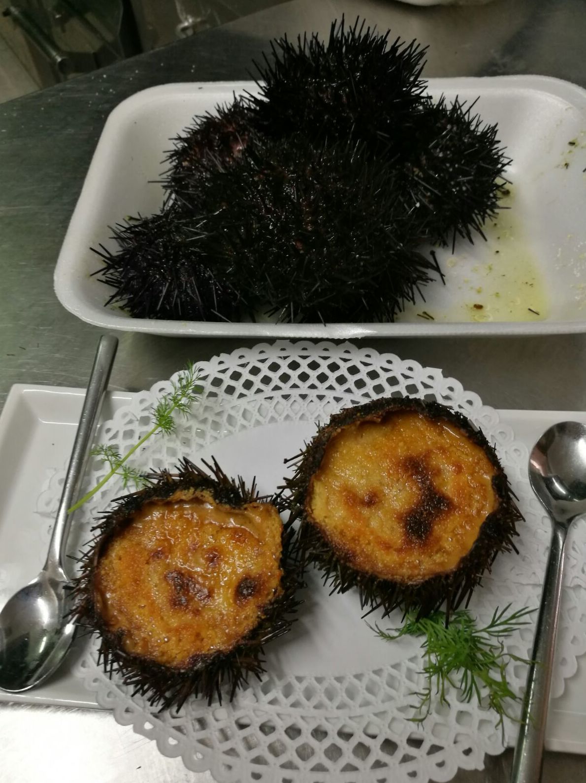 Tapa de Erizos de Mar Tapa de Erizos de Mar