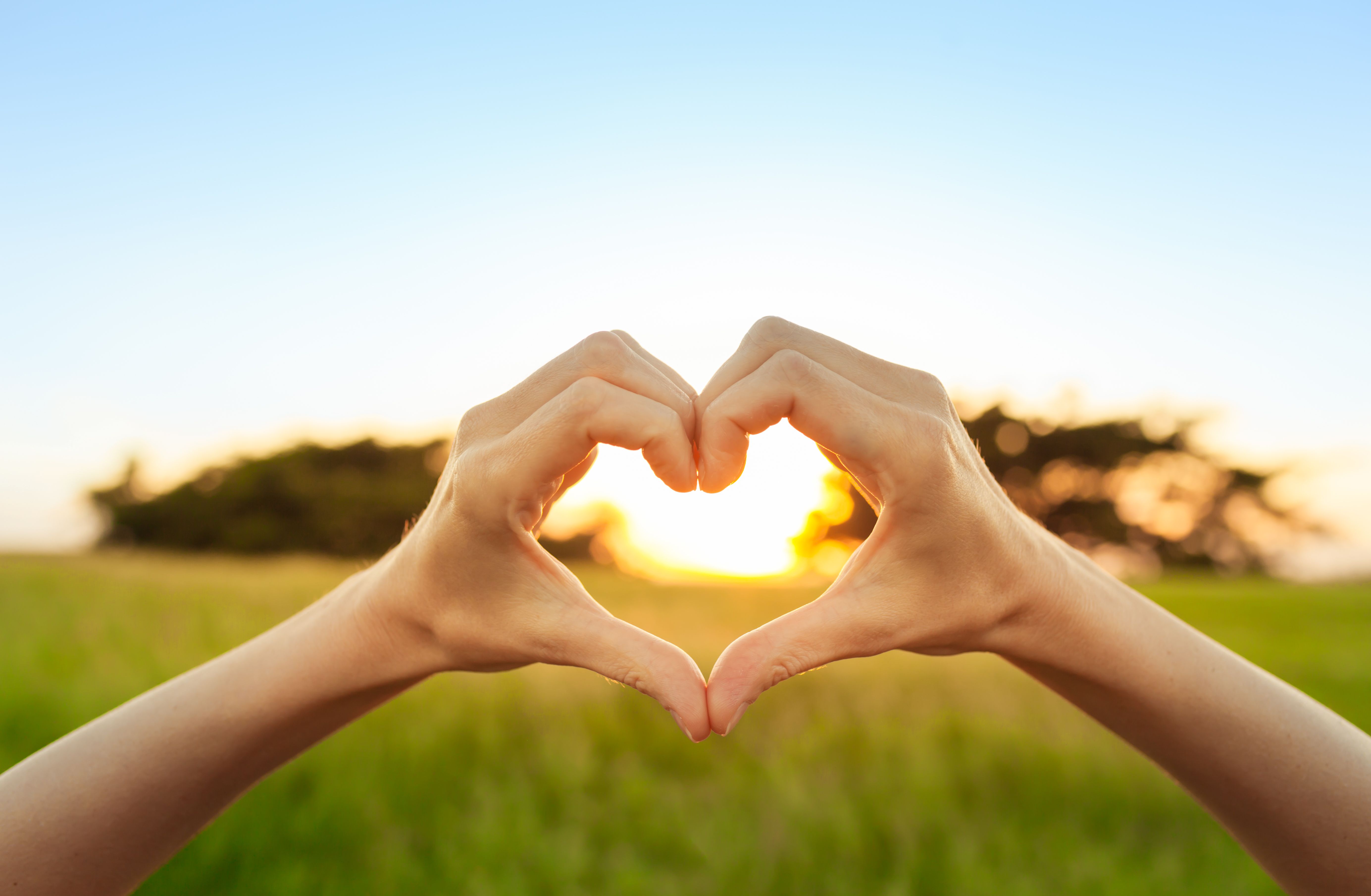Salud sexual: Farmacia y Ortopedia de Farmacia y Ortopedia Gumuzio Salud sexual: Farmacia y Ortopedia de Farmacia y Ortopedia Gumuzio