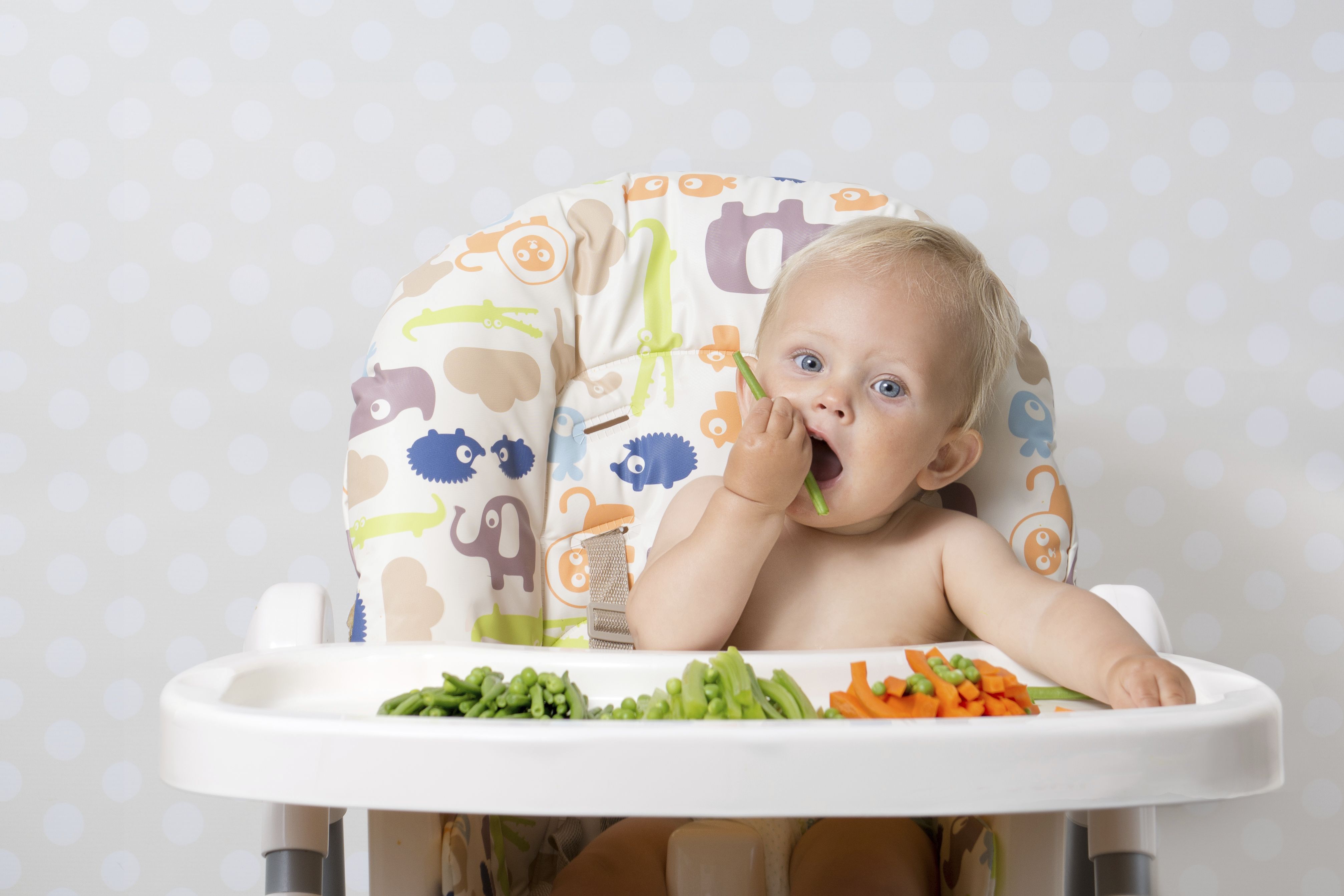 Alimentación y cuidado infantil: Farmacia y Ortopedia de Farmacia y Ortopedia Gumuzio Alimentación y cuidado infantil: Farmacia y Ortopedia de Farmacia y Ortopedia Gumuzio