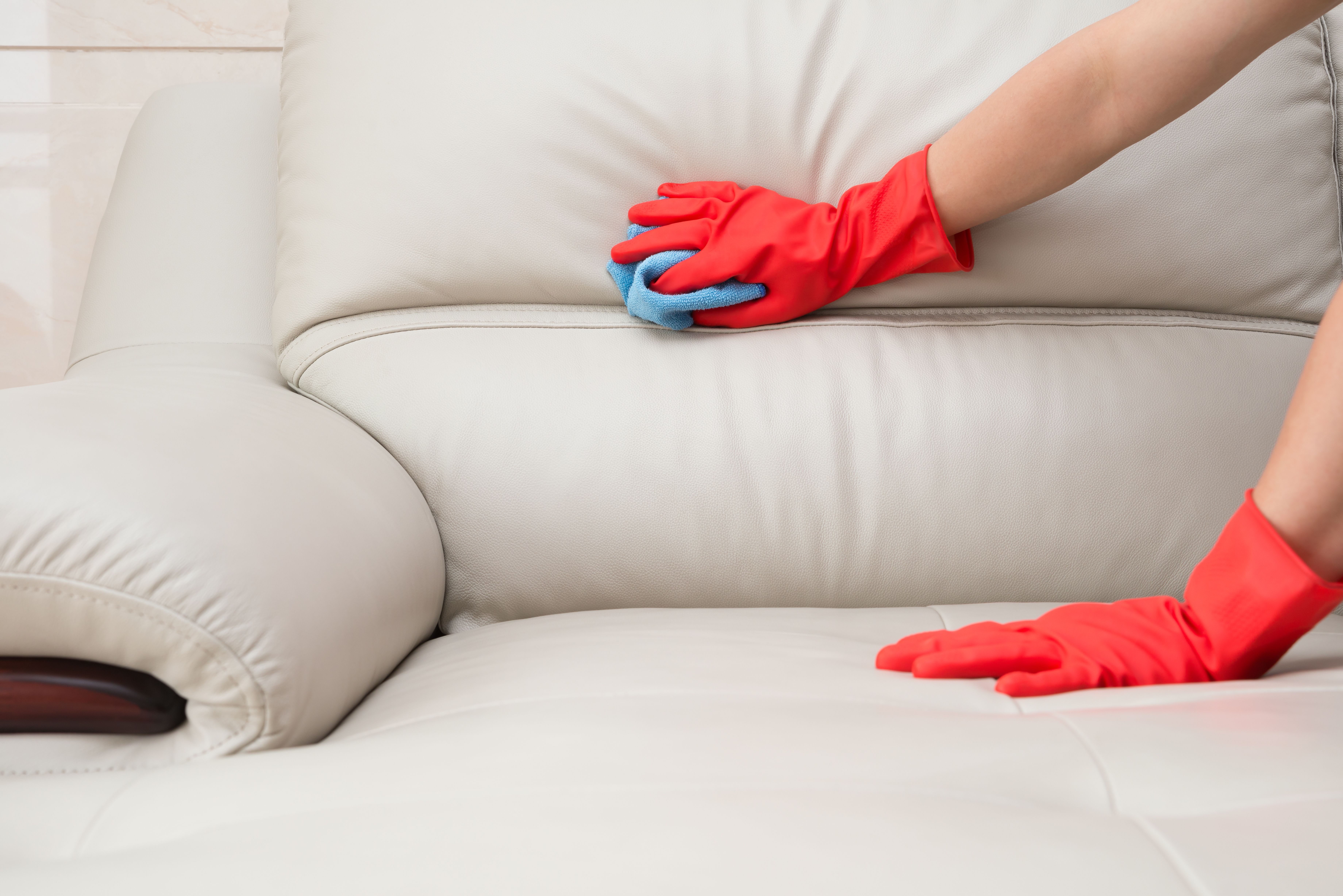 Limpieza de sillones y sofás: Servicios de Limpieza de sofás y sillones Limpieza de sillones y sofás: Servicios de Limpieza de sofás y sillones
