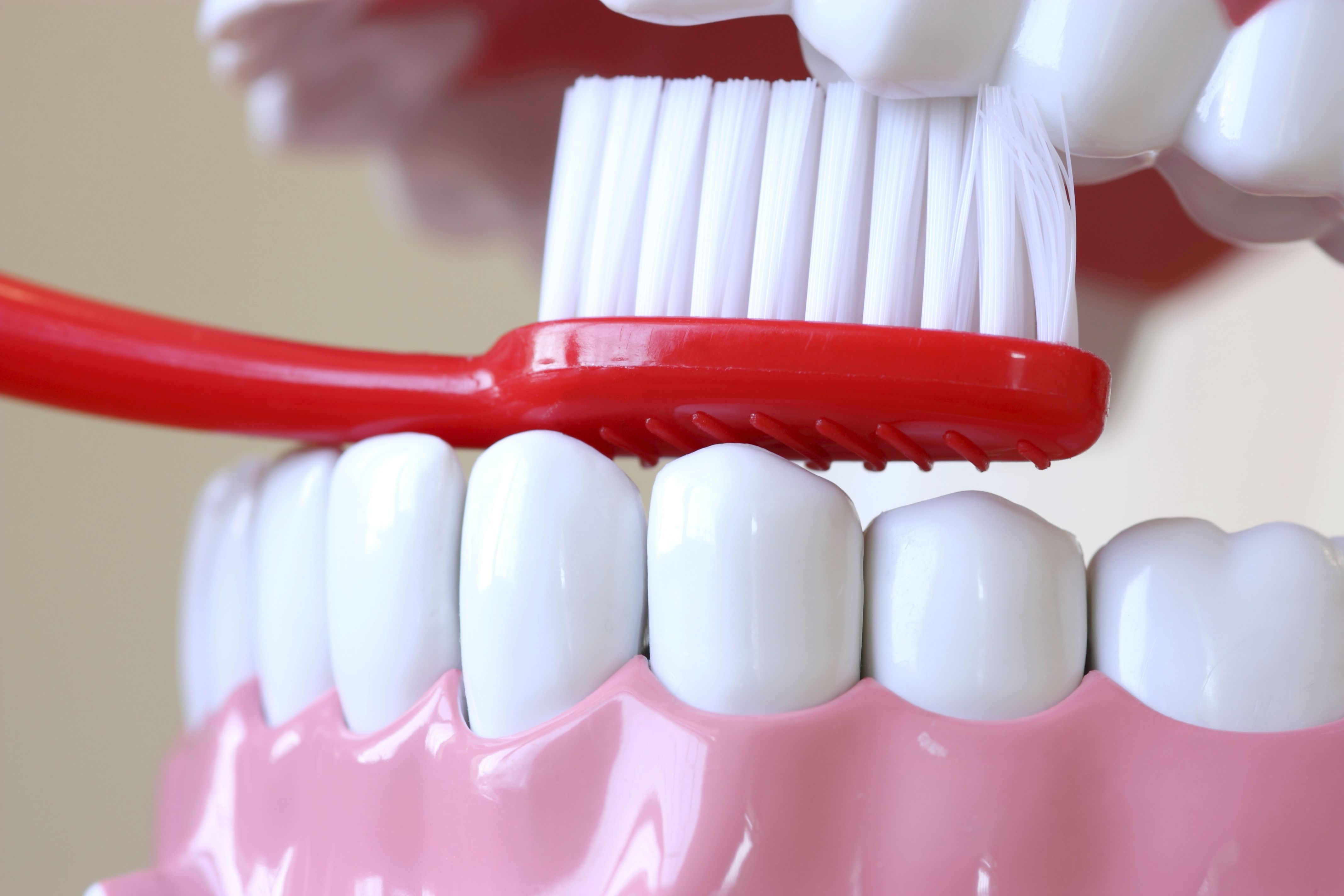 Estética dental: Servicios de Clínica Dental Lau Hagin Estética dental: Servicios de Clínica Dental Lau Hagin