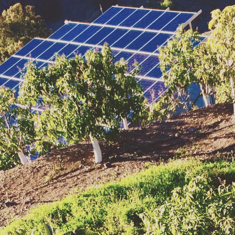 Energía solar: Servicios de Fimara Solar Energía solar: Servicios de Fimara Solar