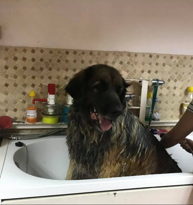 Baño: Catálogo de El Baño de Totó Baño: Catálogo de El Baño de Totó