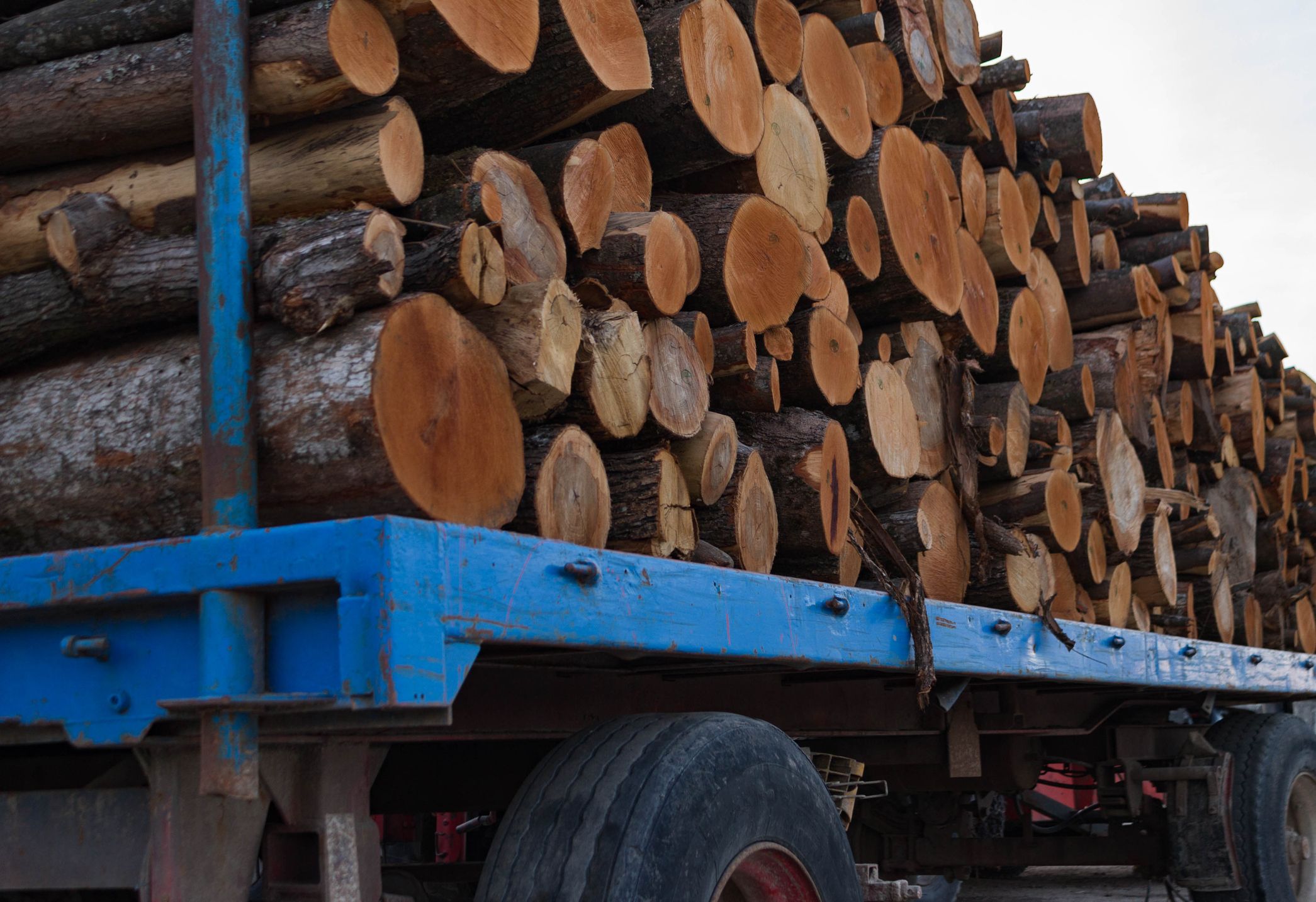 Transporte de maderas en Asturias