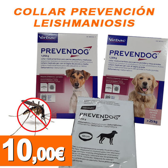 Collar prevención leishmaniosis: de Clínica Veterinaria Rocafort Collar prevención leishmaniosis: de Clínica Veterinaria Rocafort