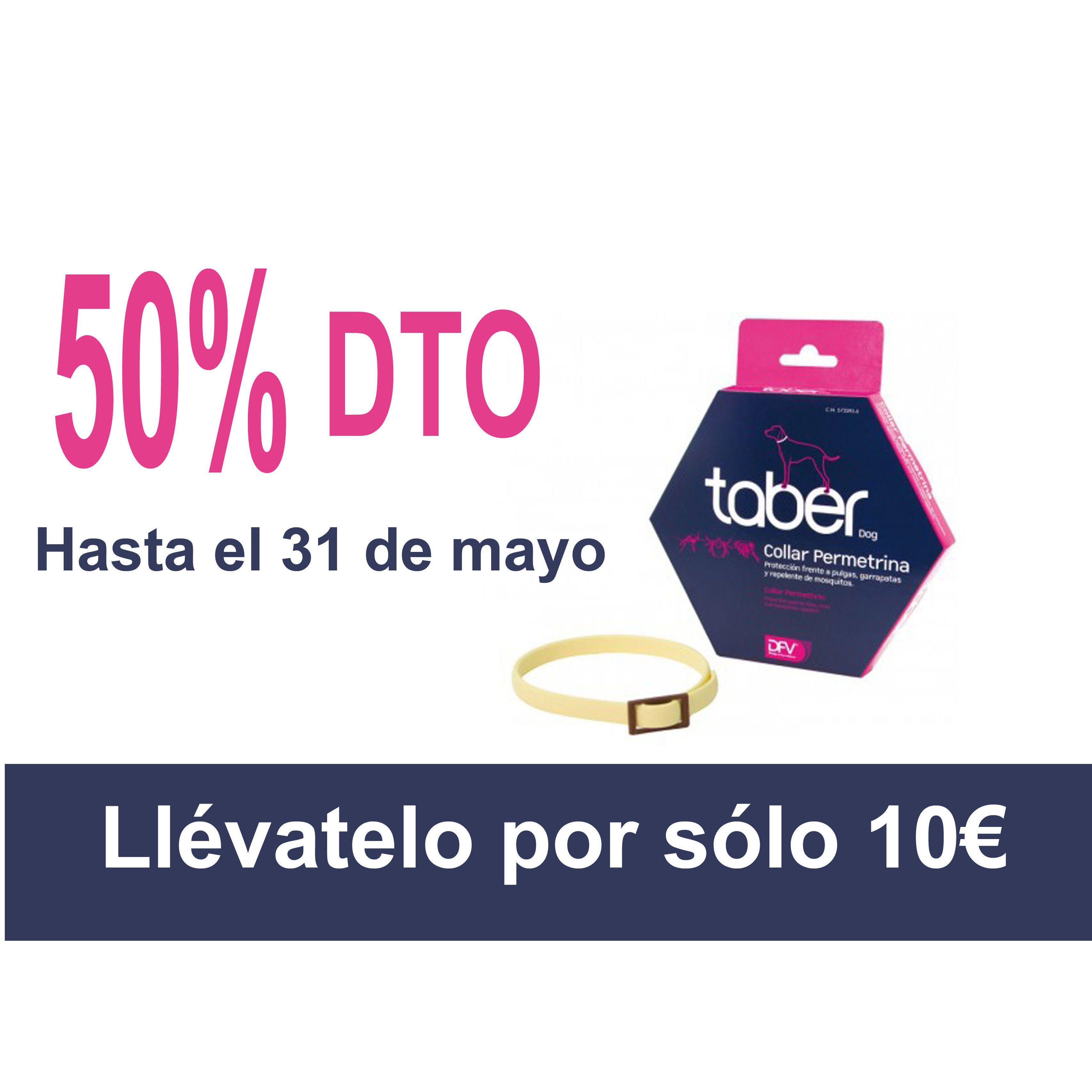 Campaña del mes / promoción: Servicios de Clínica Veterinaria Rocafort Campaña del mes / promoción: Servicios de Clínica Veterinaria Rocafort