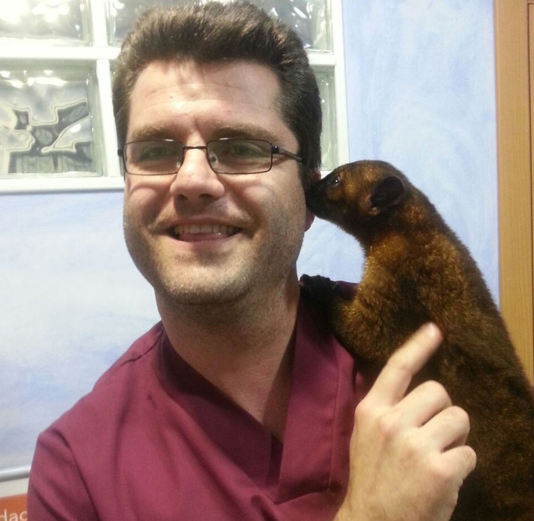 Víctor Pérez - Veterinario: Servicios de Clínica Veterinaria Rocafort Víctor Pérez - Veterinario: Servicios de Clínica Veterinaria Rocafort