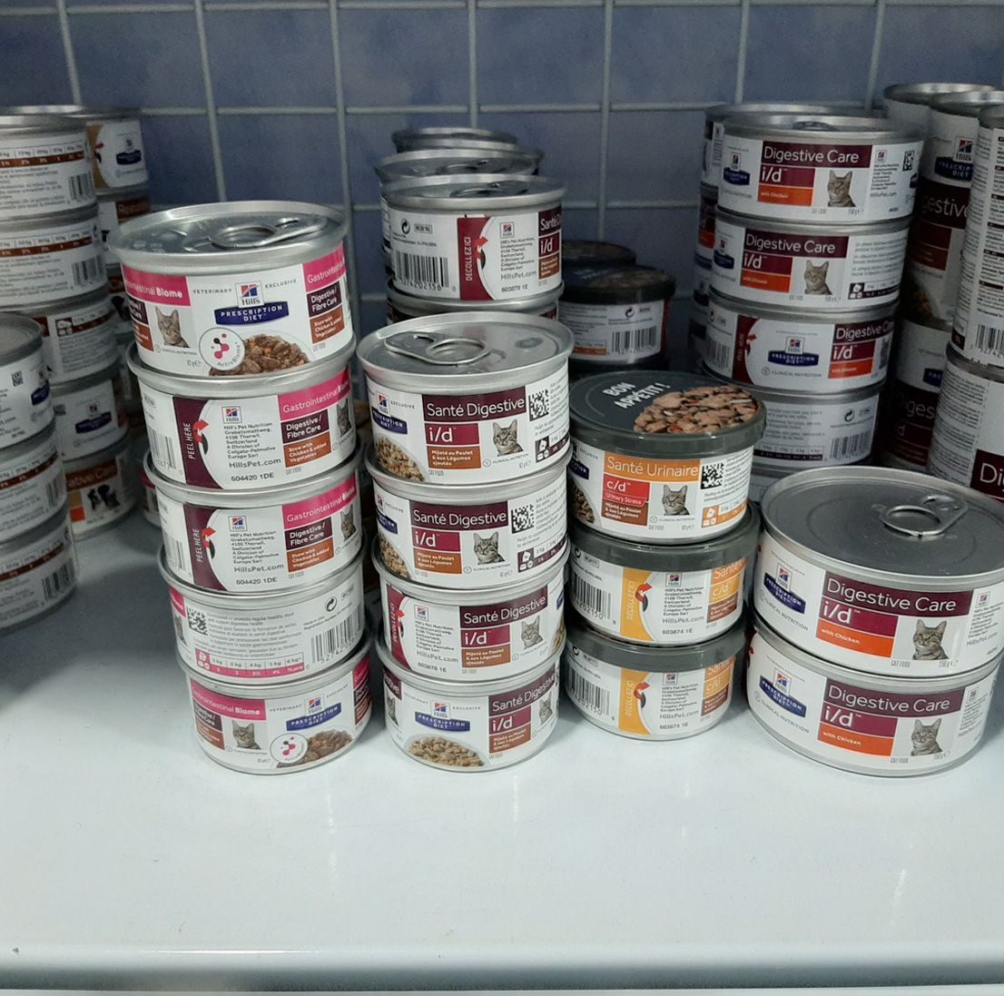 Alimento para gatos Alimento para gatos