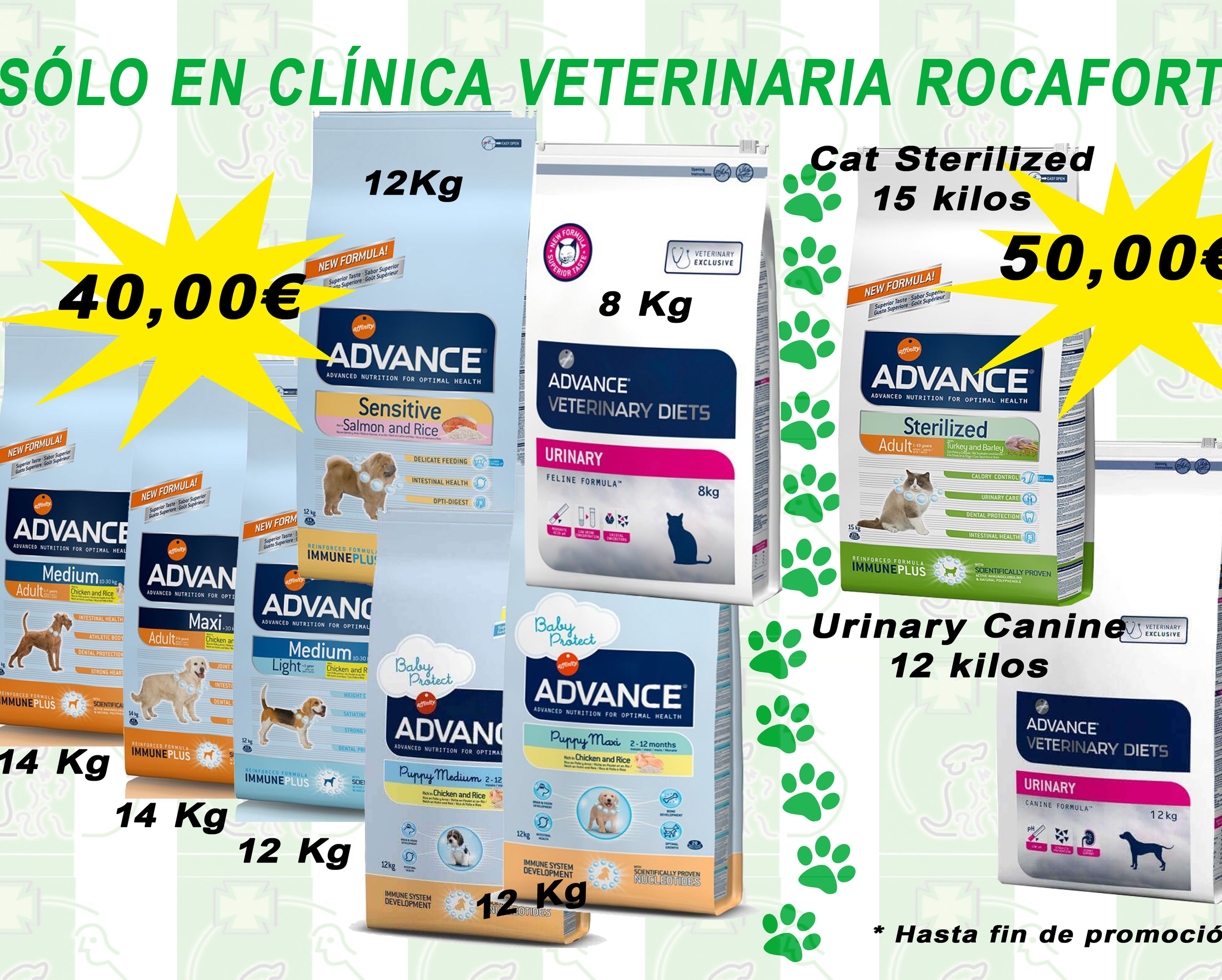 Piensos y accesorios: Servicios de Clínica Veterinaria Rocafort Piensos y accesorios: Servicios de Clínica Veterinaria Rocafort