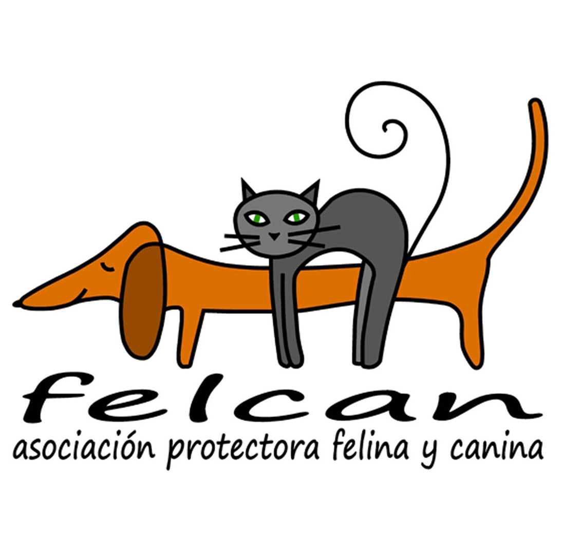 FELCAN: de Clínica Veterinaria Rocafort FELCAN: de Clínica Veterinaria Rocafort