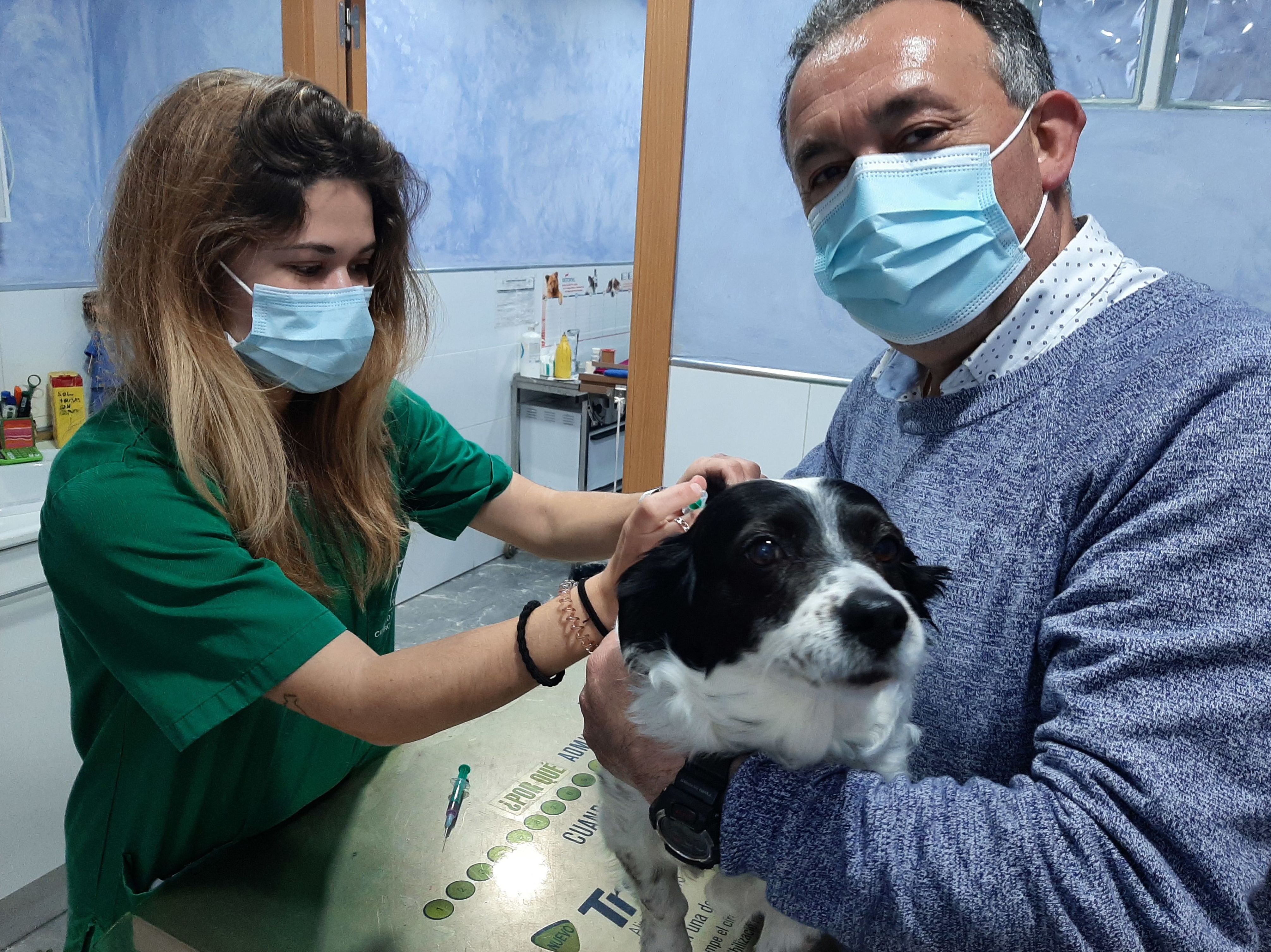 Amparo Vilar - Veterinaria: de Clínica Veterinaria Rocafort Amparo Vilar - Veterinaria: de Clínica Veterinaria Rocafort