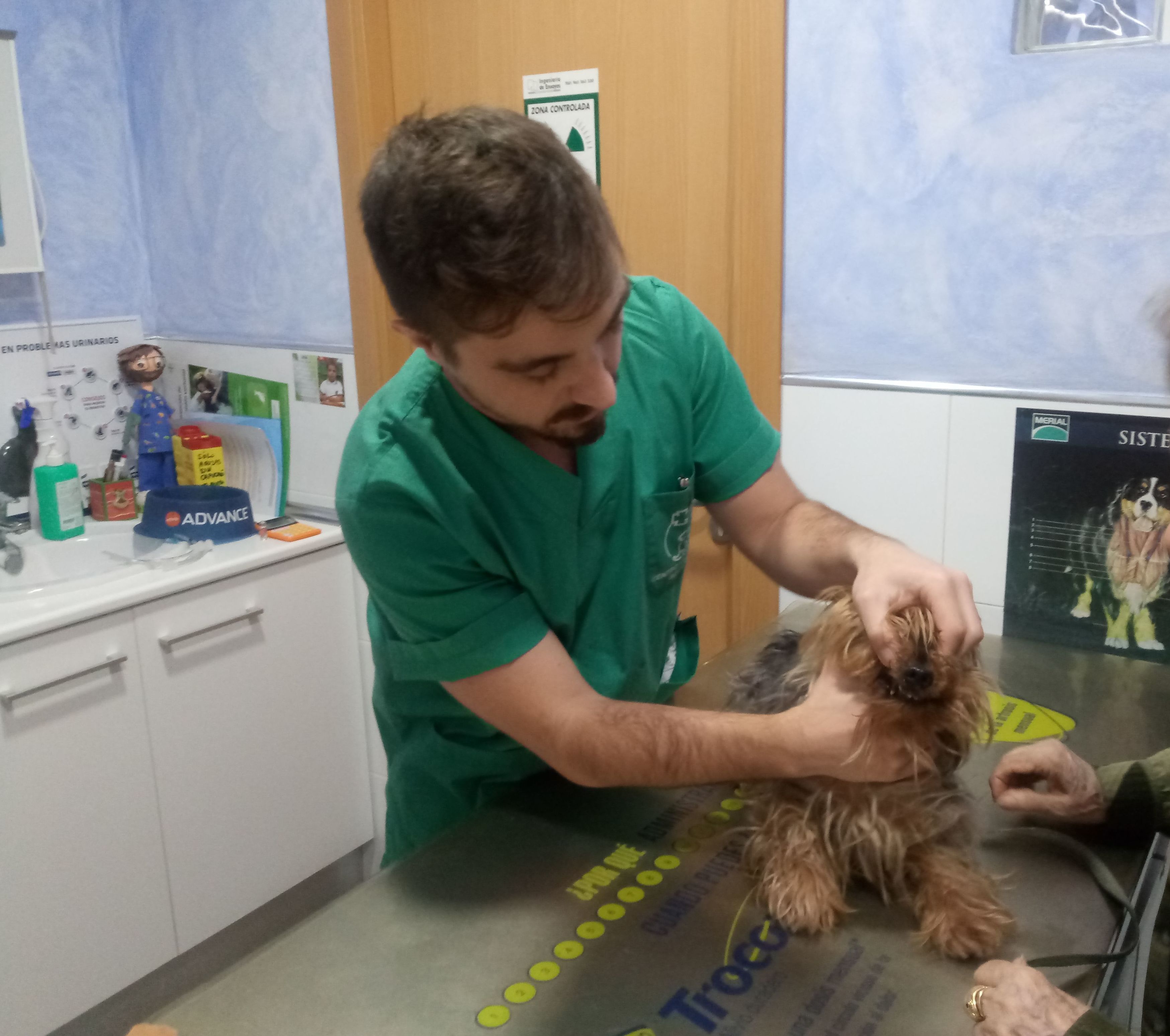 Nuestro equipo: Servicios de Clínica Veterinaria Rocafort Nuestro equipo: Servicios de Clínica Veterinaria Rocafort