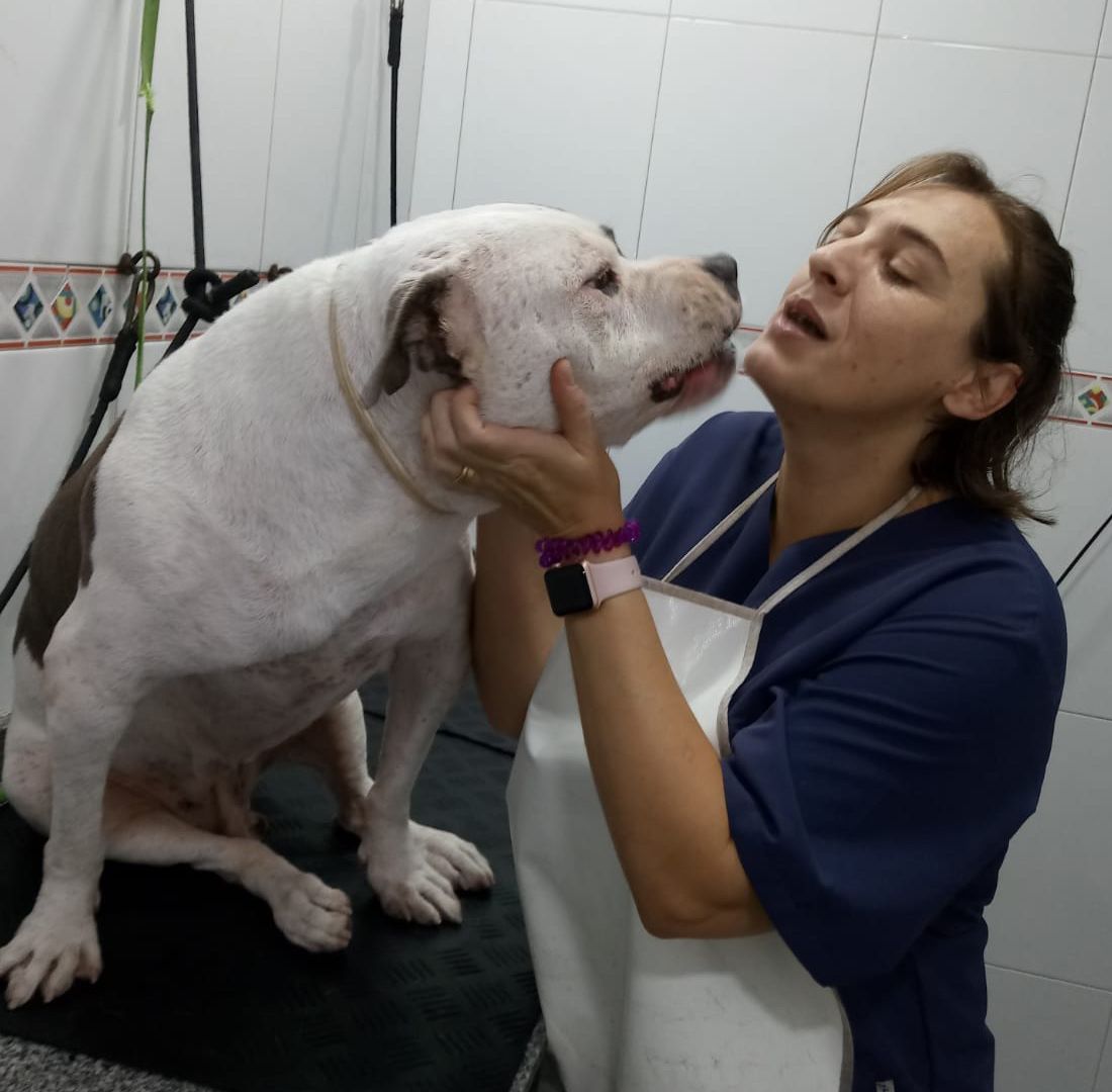 Peluquería Peluquería