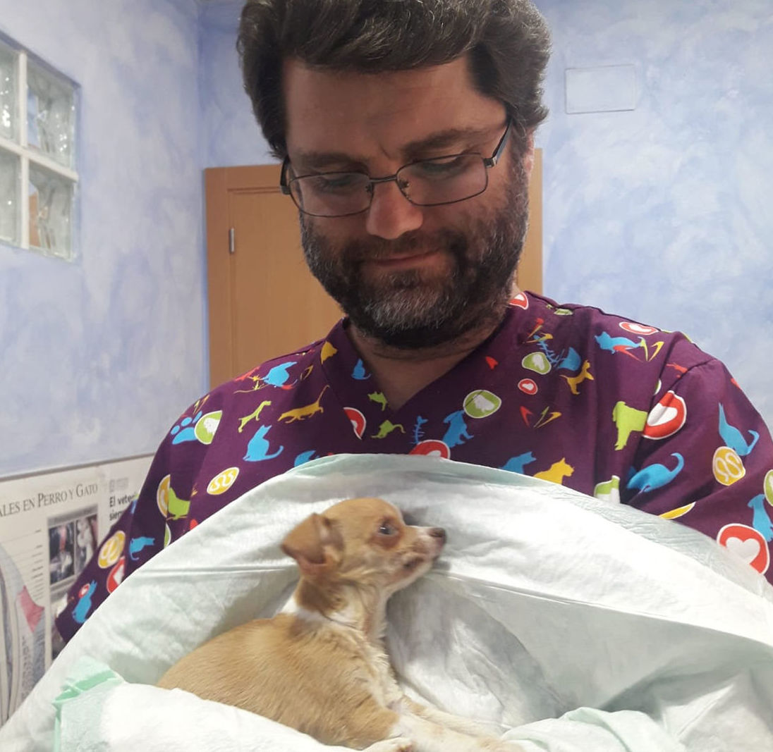 Víctor Pérez - Veterinario: Servicios de Clínica Veterinaria Rocafort Víctor Pérez - Veterinario: Servicios de Clínica Veterinaria Rocafort