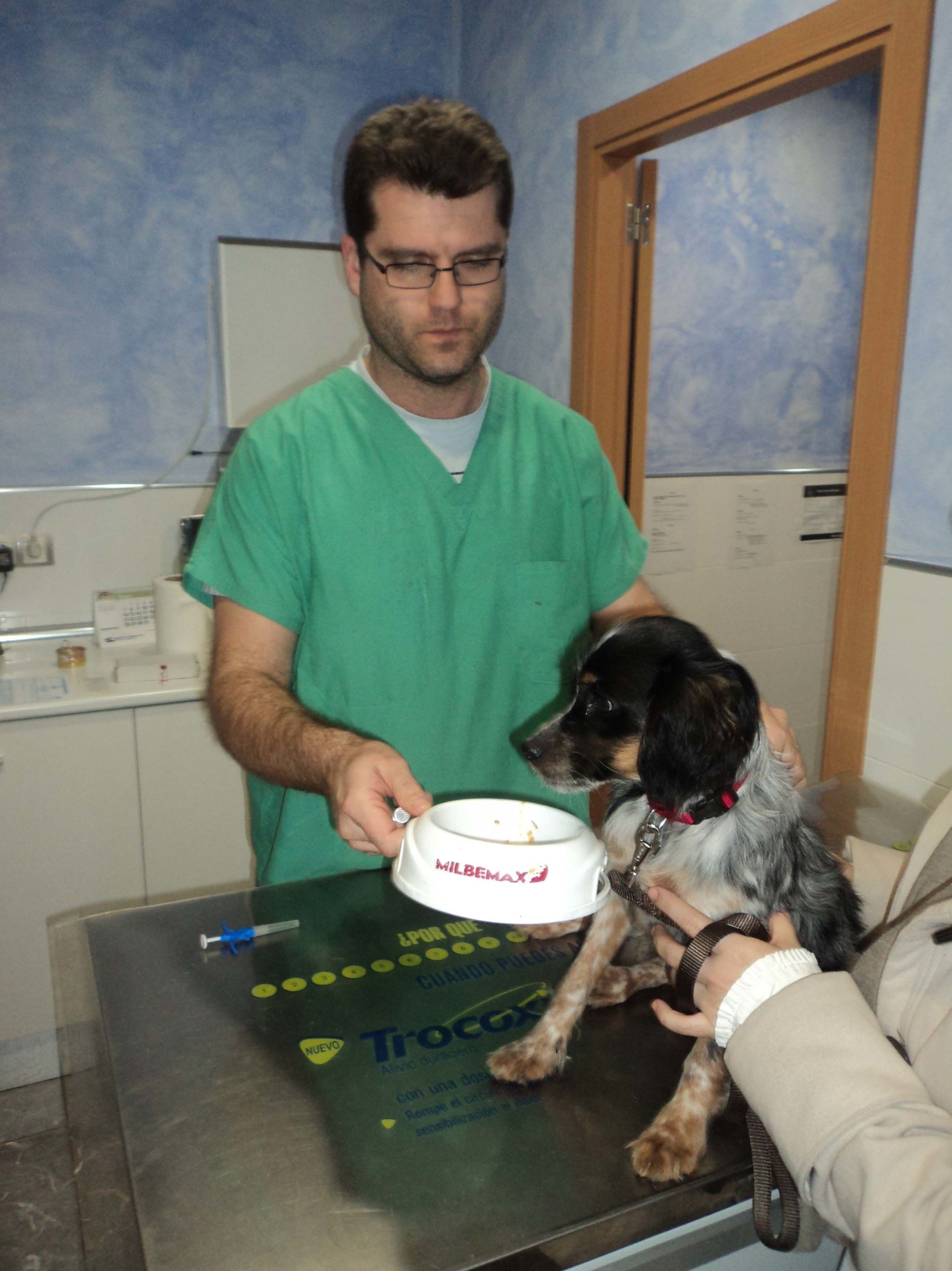 Víctor Pérez - Veterinario: Servicios de Clínica Veterinaria Rocafort Víctor Pérez - Veterinario: Servicios de Clínica Veterinaria Rocafort