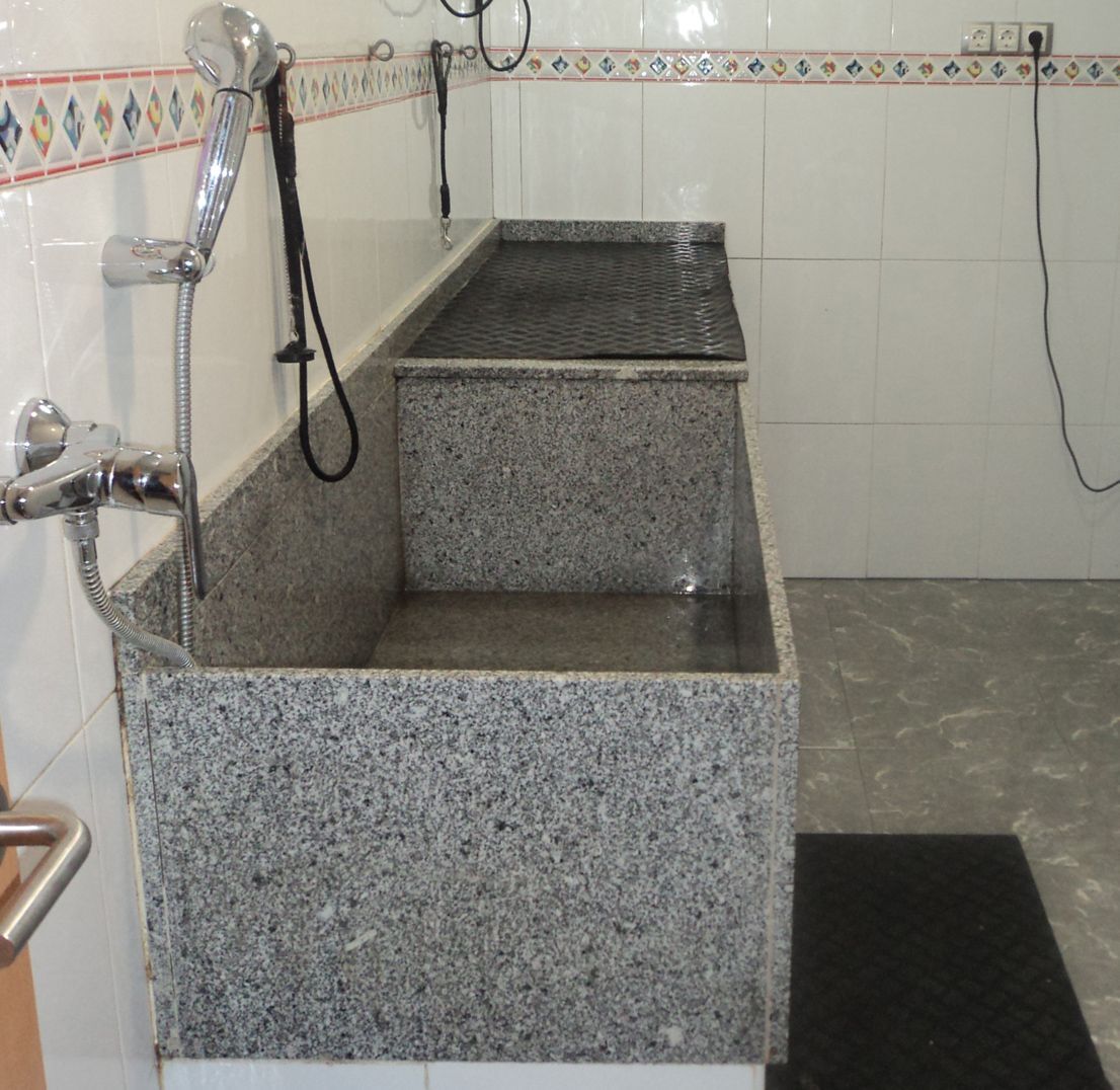 Peluquería: Servicios de Clínica Veterinaria Rocafort Peluquería: Servicios de Clínica Veterinaria Rocafort