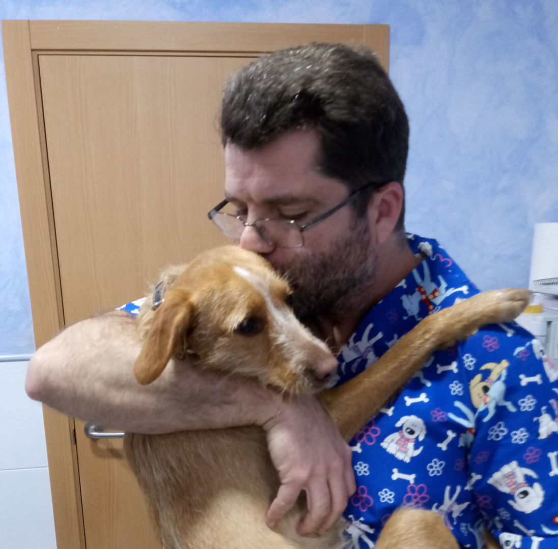 Nuestro equipo: Servicios de Clínica Veterinaria Rocafort Nuestro equipo: Servicios de Clínica Veterinaria Rocafort