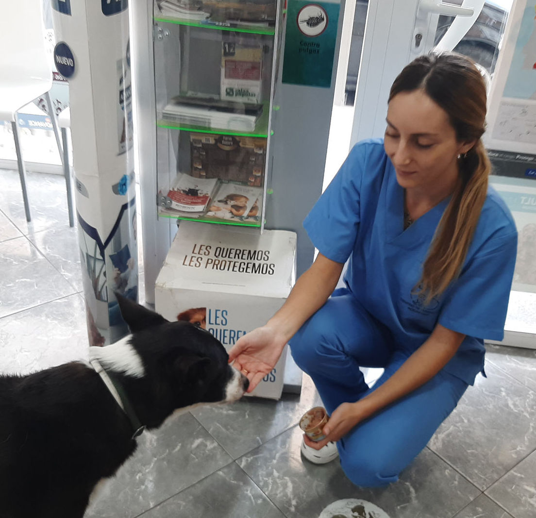 Neus Bargues - Auxiliar Veterinaria: Servicios de Clínica Veterinaria Rocafort Neus Bargues - Auxiliar Veterinaria: Servicios de Clínica Veterinaria Rocafort