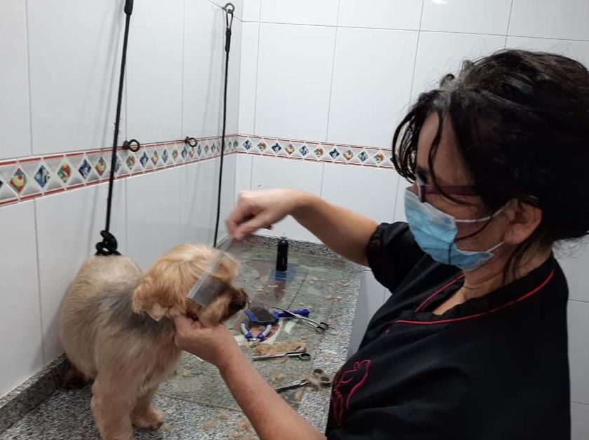 Carmen Martínez - Peluquera: de Clínica Veterinaria Rocafort Carmen Martínez - Peluquera: de Clínica Veterinaria Rocafort