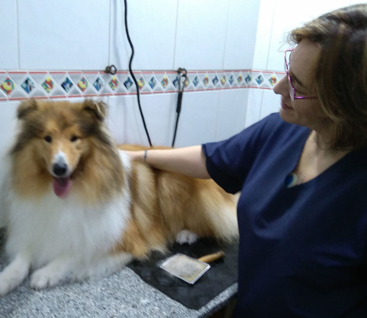 Nuria Chicoy - Auxiliar Veterinaria y peluquera: Servicios de Clínica Veterinaria Rocafort Nuria Chicoy - Auxiliar Veterinaria y peluquera: Servicios de Clínica Veterinaria Rocafort