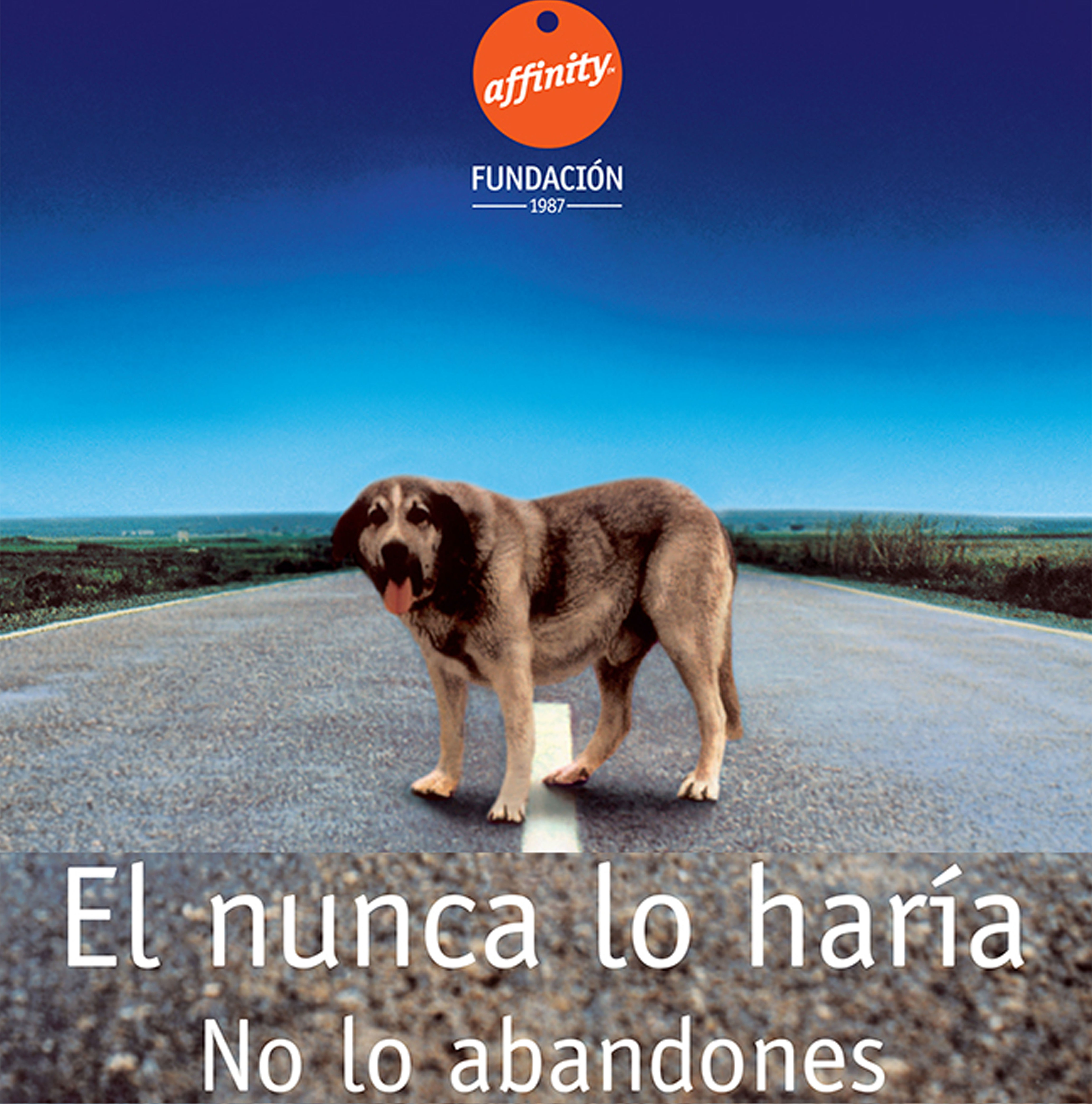 Protectoras: Servicios de Clínica Veterinaria Rocafort Protectoras: Servicios de Clínica Veterinaria Rocafort