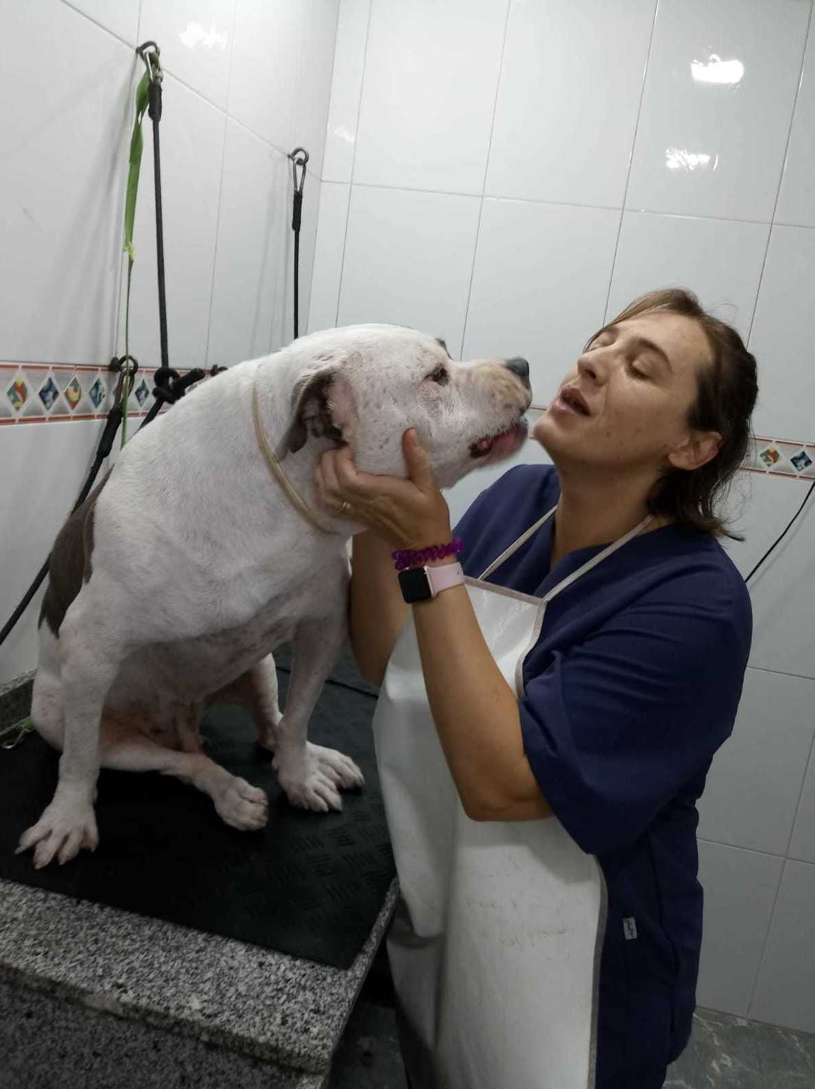 Servicio de peluquería: Servicios de Clínica Veterinaria Rocafort Servicio de peluquería: Servicios de Clínica Veterinaria Rocafort