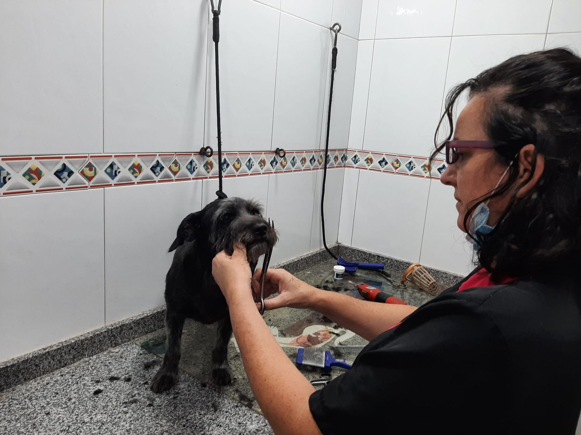 Carmen Martínez - Peluquera: de Clínica Veterinaria Rocafort Carmen Martínez - Peluquera: de Clínica Veterinaria Rocafort