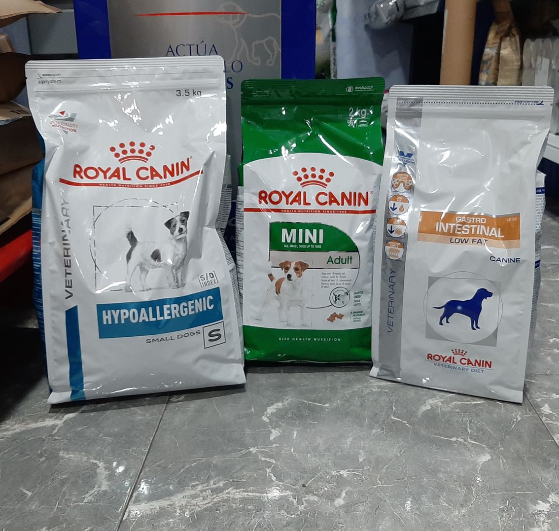 Alimentos para perros Alimentos para perros