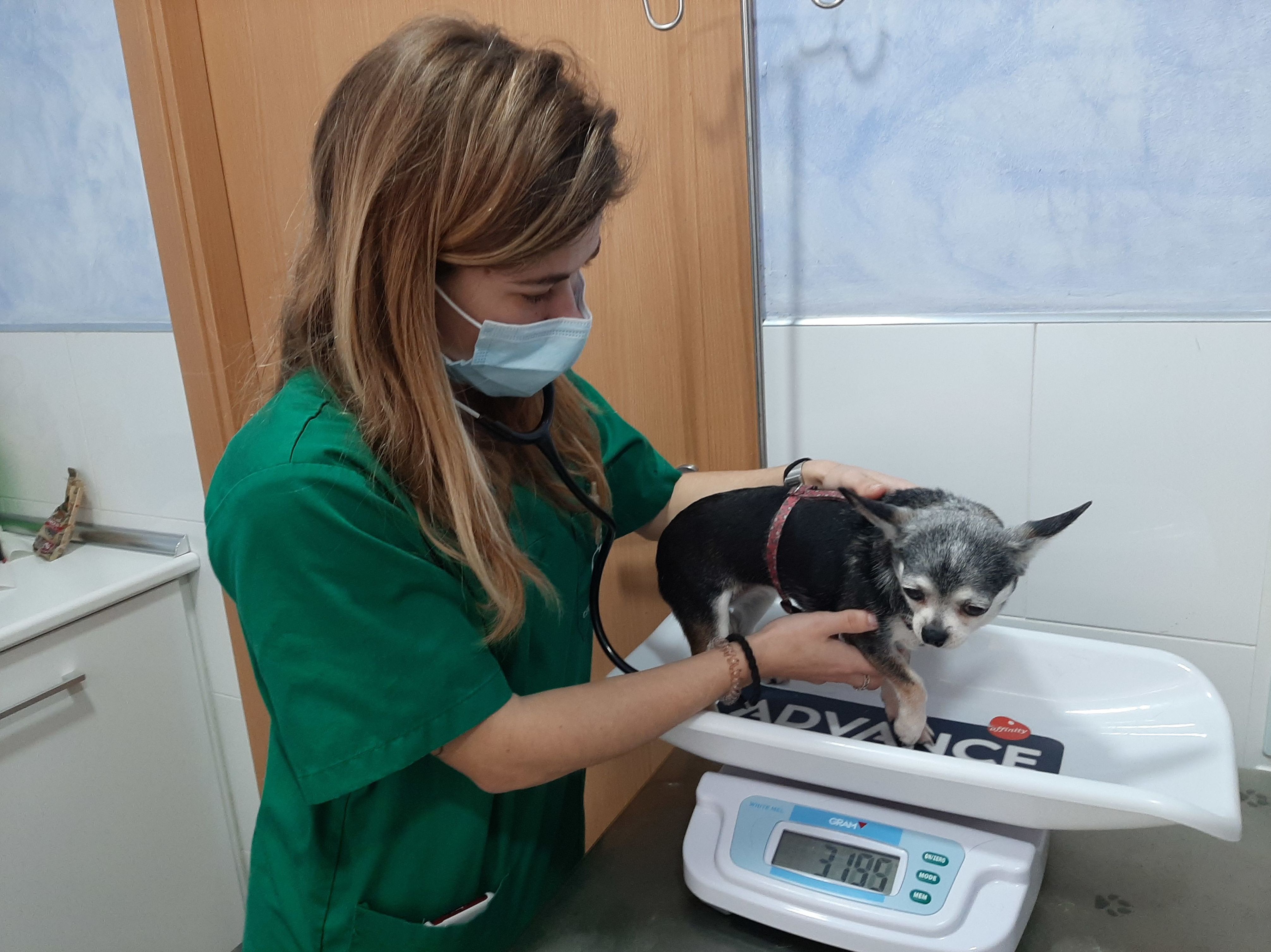 Amparo Vilar - Veterinaria: de Clínica Veterinaria Rocafort Amparo Vilar - Veterinaria: de Clínica Veterinaria Rocafort