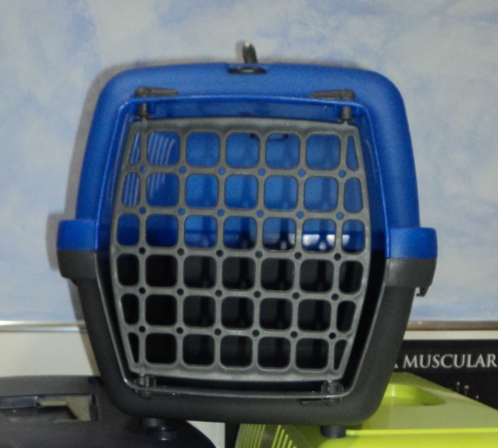 Transportines: Servicios de Clínica Veterinaria Rocafort Transportines: Servicios de Clínica Veterinaria Rocafort
