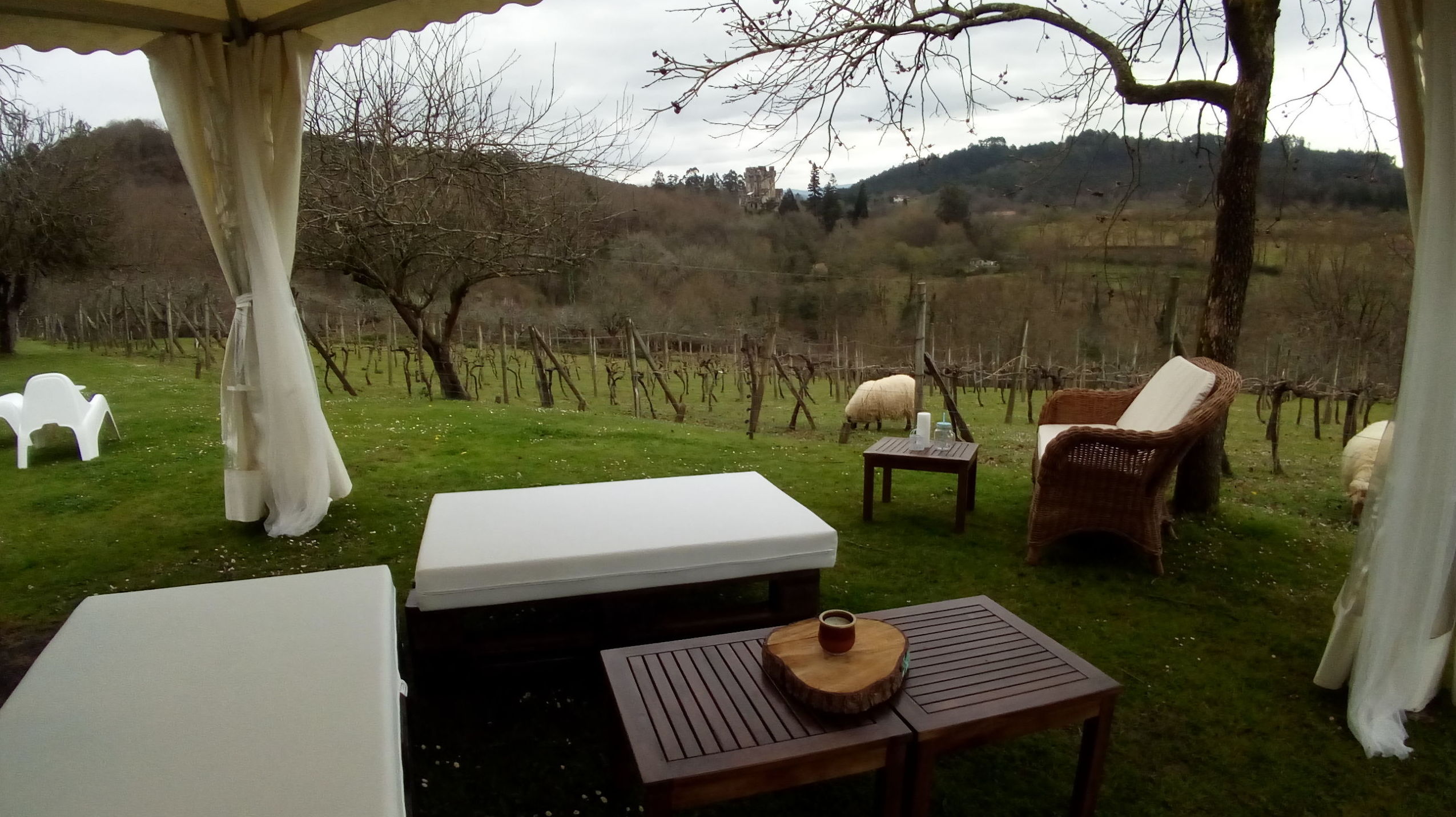 Alquiler chill out Bilbao Alquiler chill out Bilbao