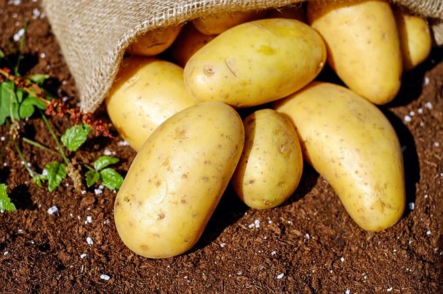 Restaurante asador en A Coruña: las patatas cocidas de Galicia