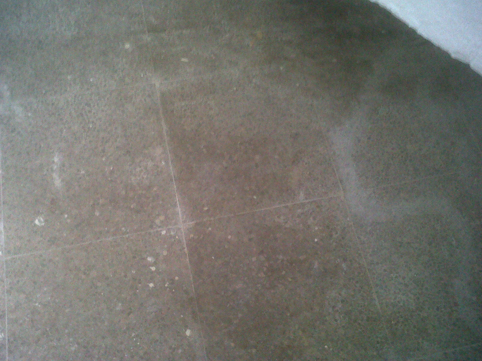 suelo terrazo mal estado ( solucion terminacion de pulido y vitrificado)