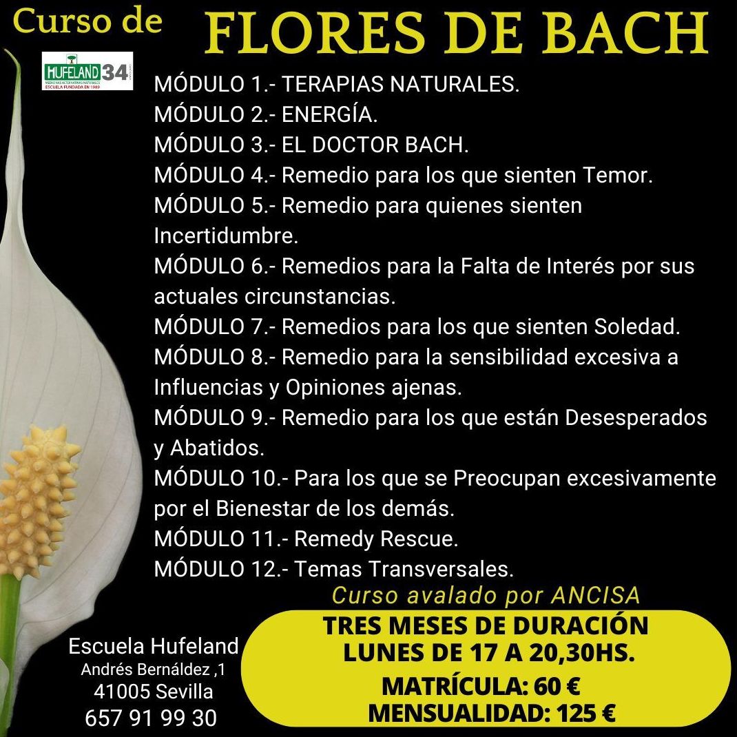 Curso de Flores de Bach