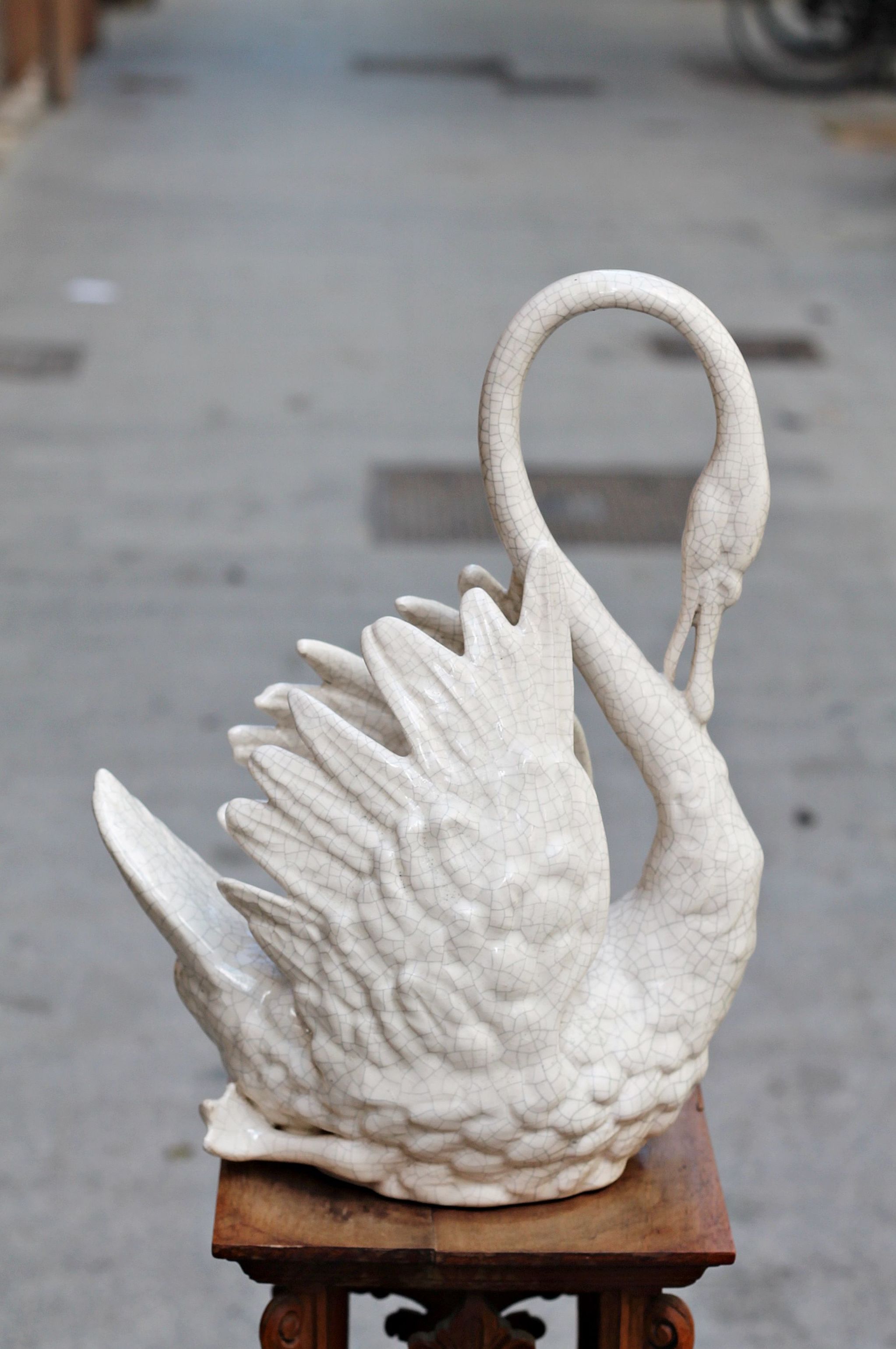 CISNE MANISES EN VALENCIA CISNE MANISES EN VALENCIA
