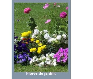 Zonas verdes y Jardines: Servicios de Zona Verde Jacetania Zonas verdes y Jardines: Servicios de Zona Verde Jacetania