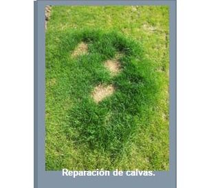 Zonas verdes y Jardines: Servicios de Zona Verde Jacetania Zonas verdes y Jardines: Servicios de Zona Verde Jacetania