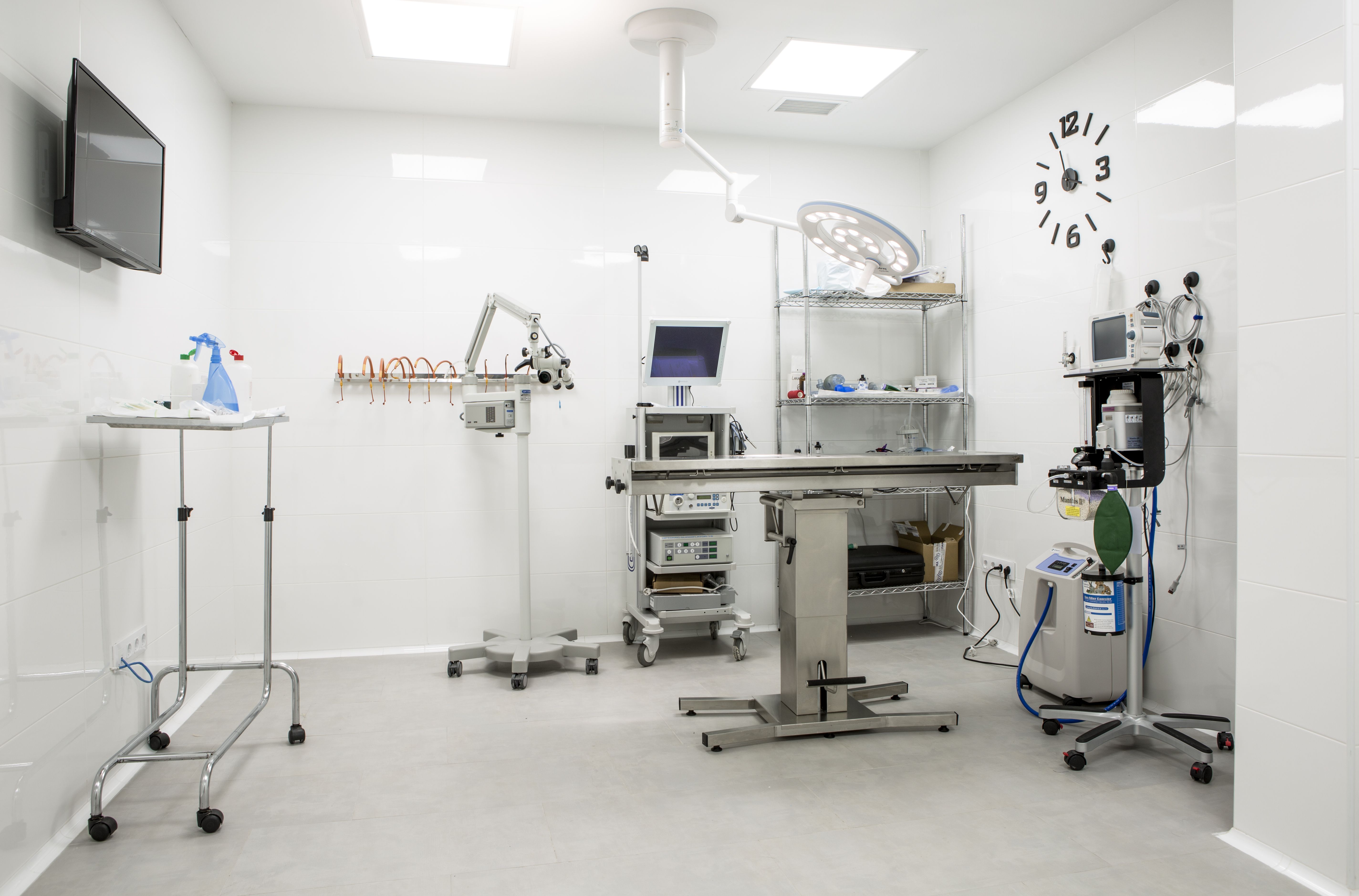 Medicina interna: Servicios Veterinarios de Hospital Veterinario Ciudad Real Medicina interna: Servicios Veterinarios de Hospital Veterinario Ciudad Real